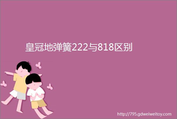 皇冠地弹簧222与818区别